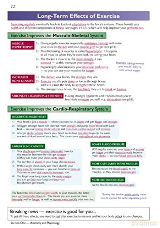 New Grade 91 Gcse Physical Education Ede [KSIĄŻKA]