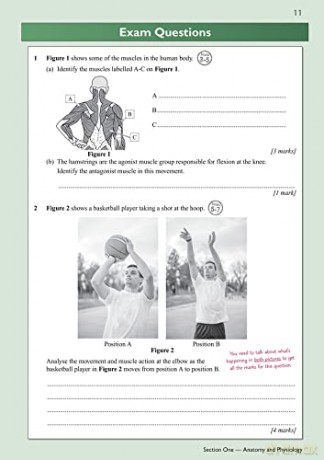 New Grade 91 Gcse Physical Education Ede [KSIĄŻKA]