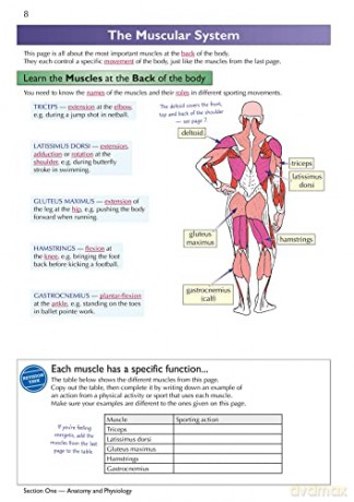 New Grade 91 Gcse Physical Education Ede [KSIĄŻKA]