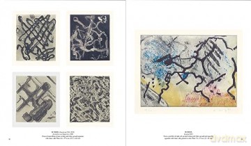 New Ground Jacob Samuel And Contempora - Esther Adler [KSIĄŻKA]