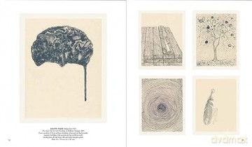 New Ground Jacob Samuel And Contempora - Esther Adler [KSIĄŻKA]