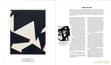 New Ground Jacob Samuel And Contempora - Esther Adler [KSIĄŻKA]