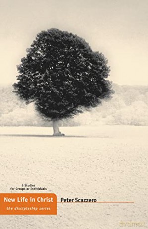 New Life In Christ - Scazzero Peter [KSIĄŻKA]