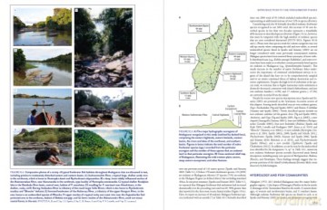 New Natural History Of Madagascar - Steven M.. Goodman [KSIĄŻKA]