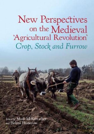 New Perspectives On The Medieval Agricul - Helena Hamerow [KSIĄŻKA]