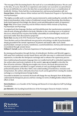 New Vision Of Psychoanalytic Theory Prac - Doris Brothers [KSIĄŻKA]