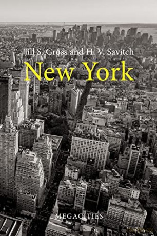 New York - Jill S Gross [KSIĄŻKA]