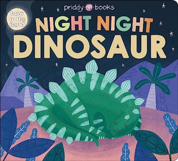 Night Night Dinosaur [KSIĄŻKA]
