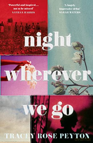 Night Wherever We Go - Tracey Rose Peyton [KSIĄŻKA]