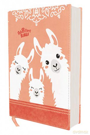 Nirv Adventure Bible For Hb - Richards Lawrence O [KSIĄŻKA]