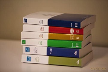 Nirv Economy Bible Paperback - Zondervan [KSIĄŻKA]