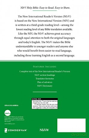 Nirv Economy Bible Paperback - Zondervan [KSIĄŻKA]
