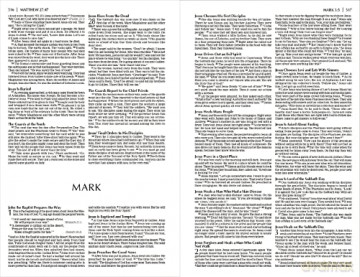 Nirv Economy Bible Paperback - Zondervan [KSIĄŻKA]