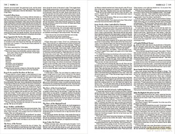 Nirv Economy Bible Paperback - Zondervan [KSIĄŻKA]