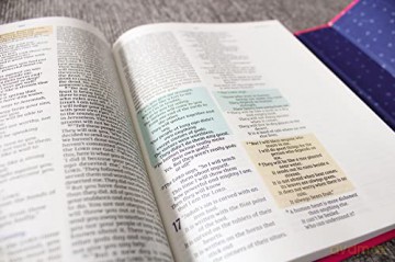 Nirv Radiant Virtues Bible For Girls - Zondervan [KSIĄŻKA]