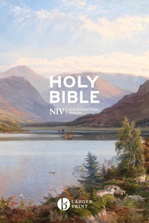 Niv Larger Print Gift Hardback Bible - New International Ve [KSIĄŻKA]