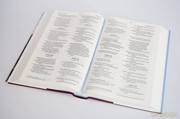 Niv Larger Print Gift Hardback Bible - New International Ve [KSIĄŻKA]