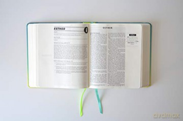 Niv Soul Survivor Journalling Bible [KSIĄŻKA]