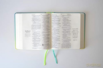 Niv Soul Survivor Journalling Bible [KSIĄŻKA]