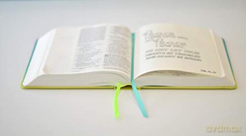 Niv Soul Survivor Journalling Bible [KSIĄŻKA]