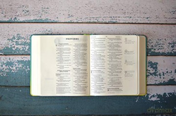 Niv Soul Survivor Journalling Bible [KSIĄŻKA]