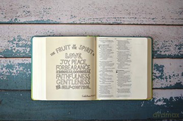 Niv Soul Survivor Journalling Bible [KSIĄŻKA]