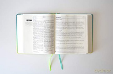 Niv Soul Survivor Journalling Bible [KSIĄŻKA]