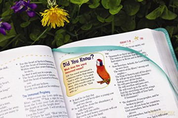 Nkjv Adventure Bible Lea Hb - Richards Lawrence O [KSIĄŻKA]