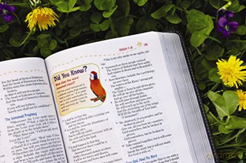 Nkjv Adventure Bible Lea Hb - Richards Lawrence O [KSIĄŻKA]