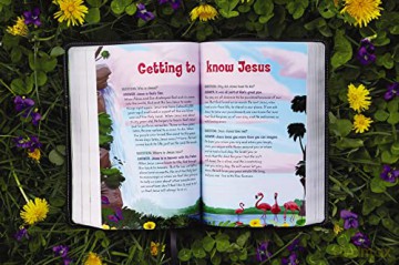 Nkjv Adventure Bible Lea Hb - Richards Lawrence O [KSIĄŻKA]