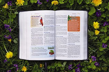Nkjv Adventure Bible Lea Hb - Richards Lawrence O [KSIĄŻKA]