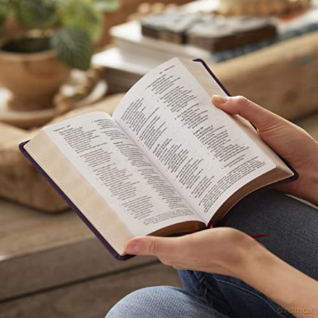 Nkjv Compact Paragraphstyle Reference Bi [KSIĄŻKA]