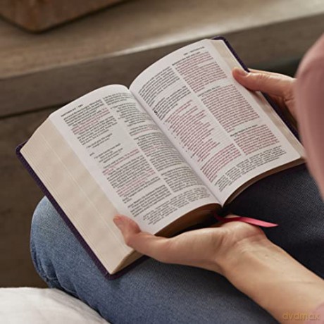 Nkjv Compact Paragraphstyle Reference Bi [KSIĄŻKA]
