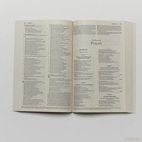Nkjv Economy Bible Paper Pb [KSIĄŻKA]