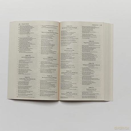 Nkjv Economy Bible Paper Pb [KSIĄŻKA]