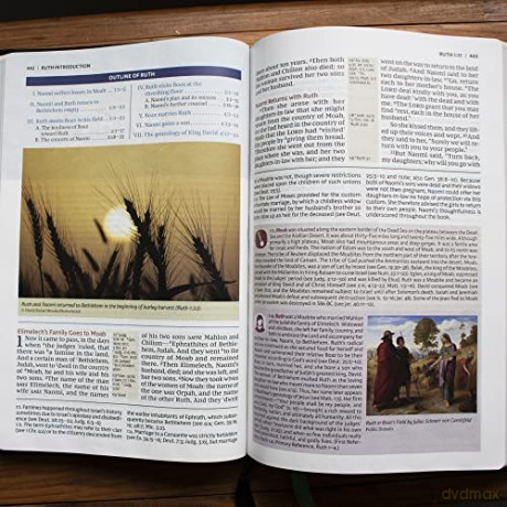 Nkjv Evangelical Study Bible Leathersoft [KSIĄŻKA]