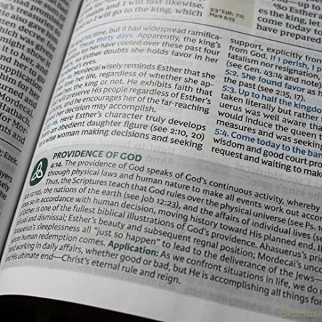 Nkjv Evangelical Study Bible Leathersoft [KSIĄŻKA]
