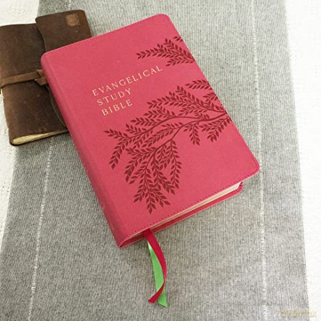 Nkjv Evangelical Study Bible Leathersoft [KSIĄŻKA]