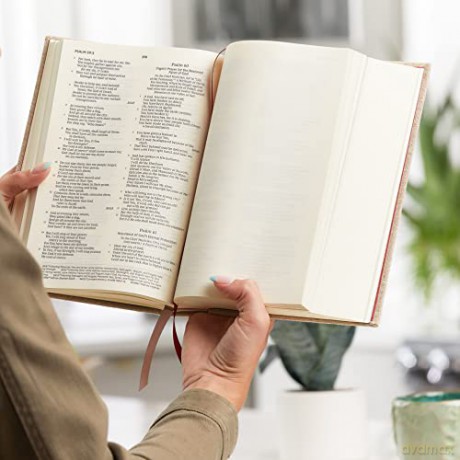 Nkjv Interleaved Bible J Hb [KSIĄŻKA]