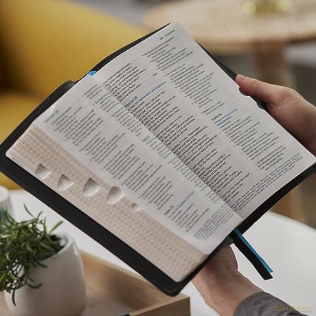Nkjv Large Print Thinline Reference Bibl [KSIĄŻKA]