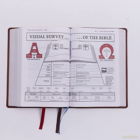 Nkjv Open Bible Leathersoft Black Red Le [KSIĄŻKA]