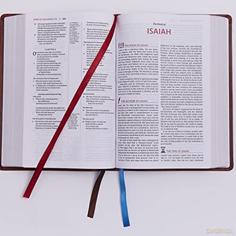 Nkjv Open Bible Leathersoft Black Red Le [KSIĄŻKA]