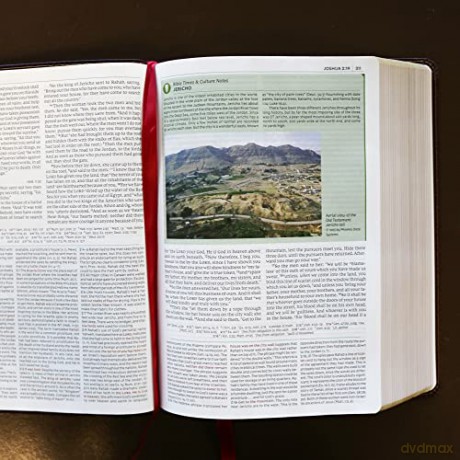 Nkjv Study Bible Leathersoft Brown Fullc [KSIĄŻKA]
