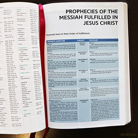Nkjv Study Bible Leathersoft Brown Fullc [KSIĄŻKA]
