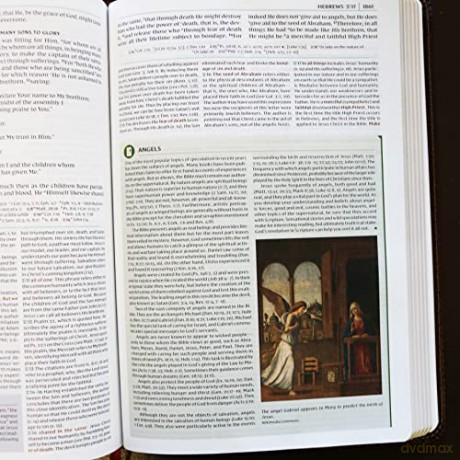 Nkjv Study Bible Leathersoft Brown Fullc [KSIĄŻKA]