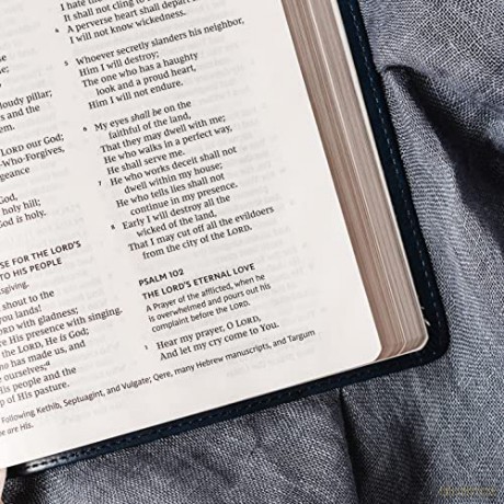 Nkjv Value Thinline Bible Large Print Im [KSIĄŻKA]