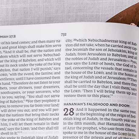 Nkjv Value Thinline Bible Large Print Im [KSIĄŻKA]