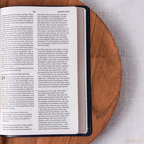 Nkjv Value Thinline Bible Large Print Im [KSIĄŻKA]