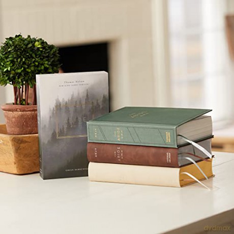 Nkjv, Abide Bible, Leathersoft, Stone [KSIĄŻKA]