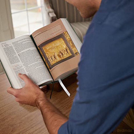 Nkjv, Abide Bible, Leathersoft, Stone [KSIĄŻKA]
